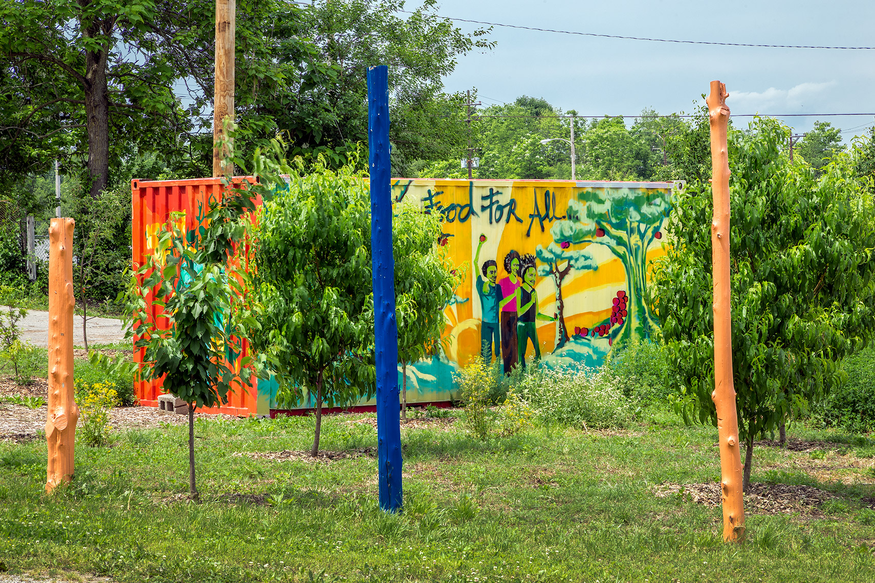 vacant urban lot repurposed for local residents gardening