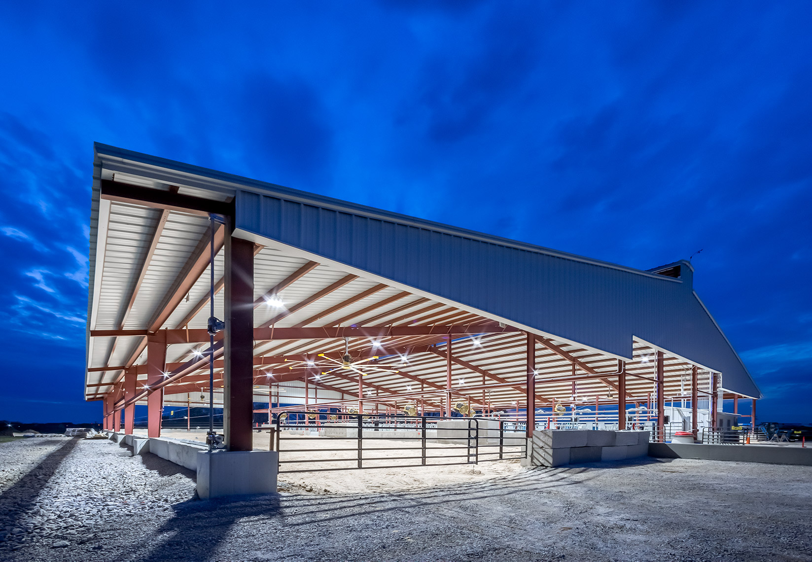 cattle shed at University of Kentucky dairy experimental station